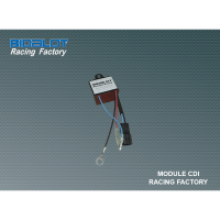Module CDI Racing Factory
