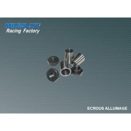 &eacute;crou de volant PVL pour MINARELLI am6 /MINA HOR