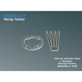 Cale de cylindre Racing Factory &eacute;p.5mm Mina Hor