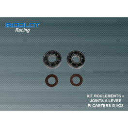 Kit Roulements + Joints &agrave; l&egrave;vre