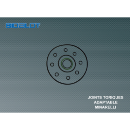 Pochette Joints toriques de culasse MINARELLI &Oslash;40