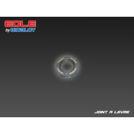 Joint &agrave; L&egrave;vre 20x35x6