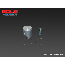 Piston Complet