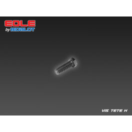 Vis T&ecirc;te H M10x20 Pas1.25
