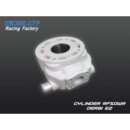Cylindre Nu RF50WR DERBI E2