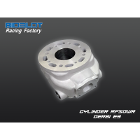 Cylindre Nu RF50WR DERBI E3