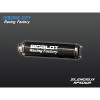 Silencieux Carbone RF50WR