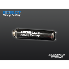 Silencieux Carbone RF50WR