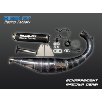 Echappement RF50WR DERBI