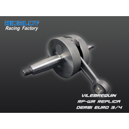 Vilebrequin RF-WR Replica DERBI E3