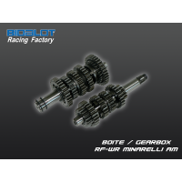 Boite de vitesses RF-WR MINARELLI AM